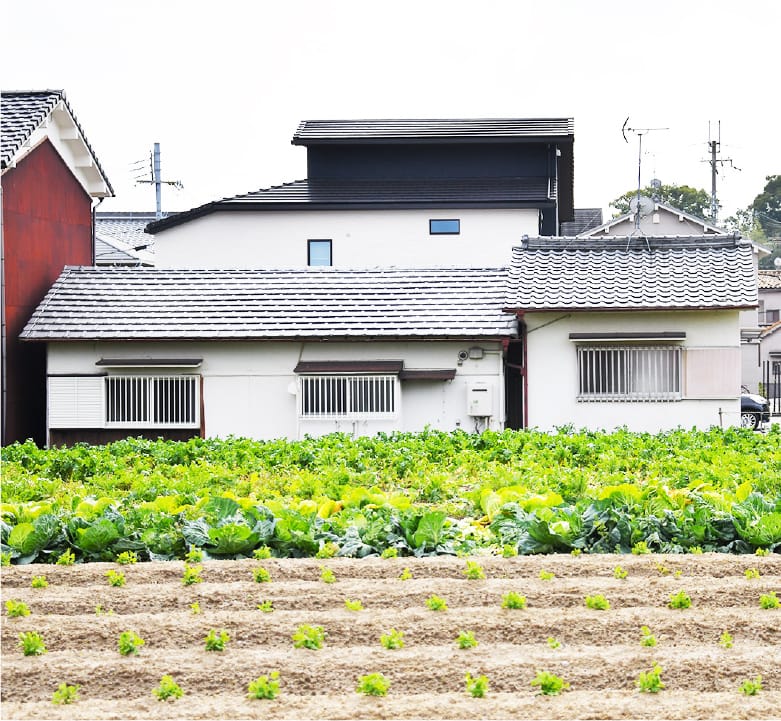 イベント